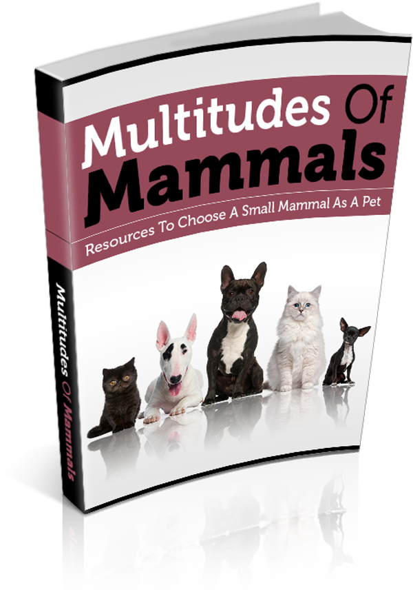 Multitudes Of Mammals
